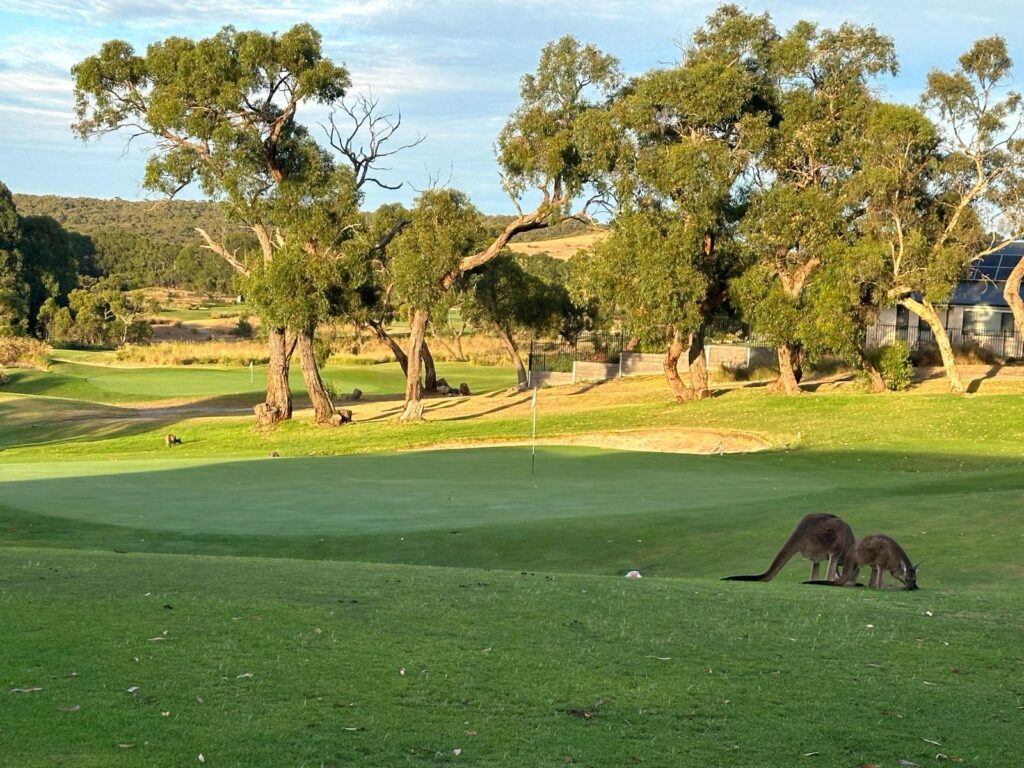 Mt Compass Golf Course, South Australia