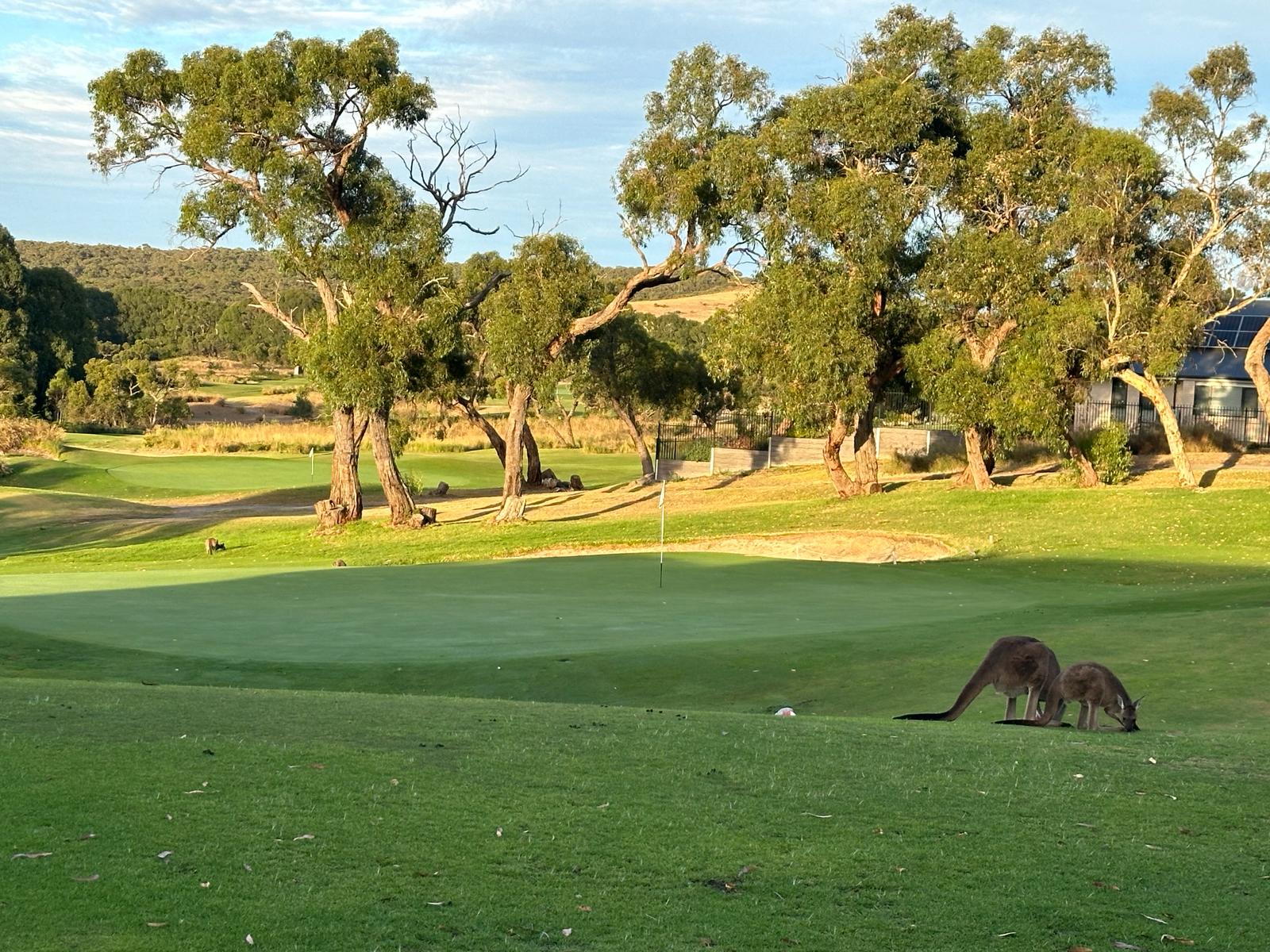 Mt Compass Golf Course, South Australia